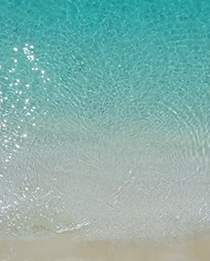 ワクトリVisionのイメージ